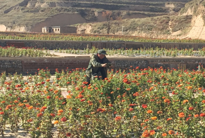 图片.png 图片.png