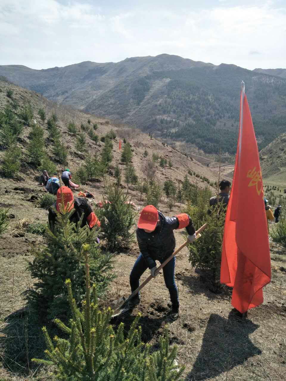 mmexport1493255669773.jpg mmexport1493255669773.jpg