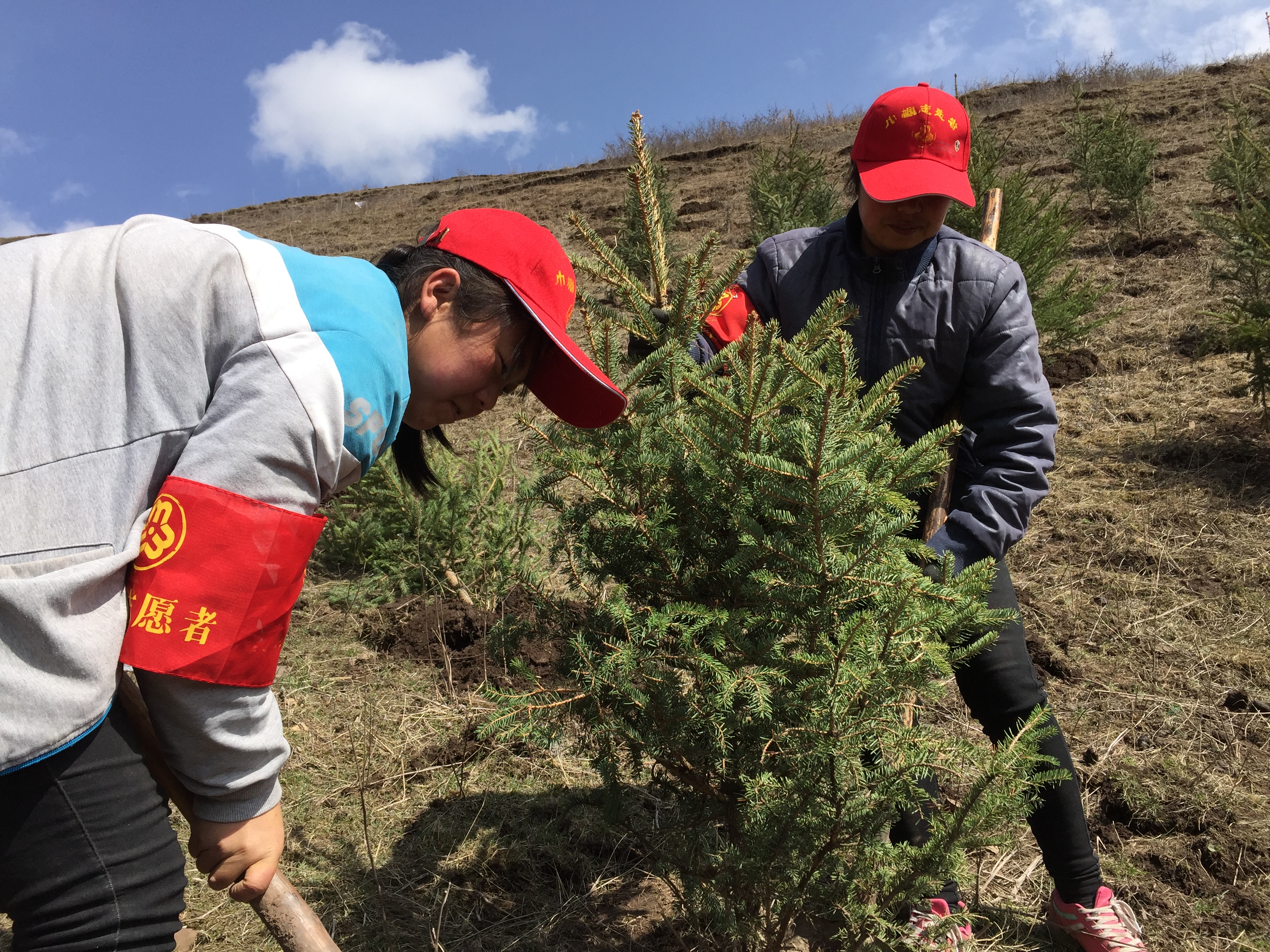 01B99BDB5247520E1BBDD5D3069AC659.png 01B99BDB5247520E1BBDD5D3069AC659.png