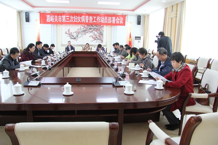 4.9  嘉峪关市召开全市第三次妇女病普查工作动员部署会议 (1) - 副本.JPG