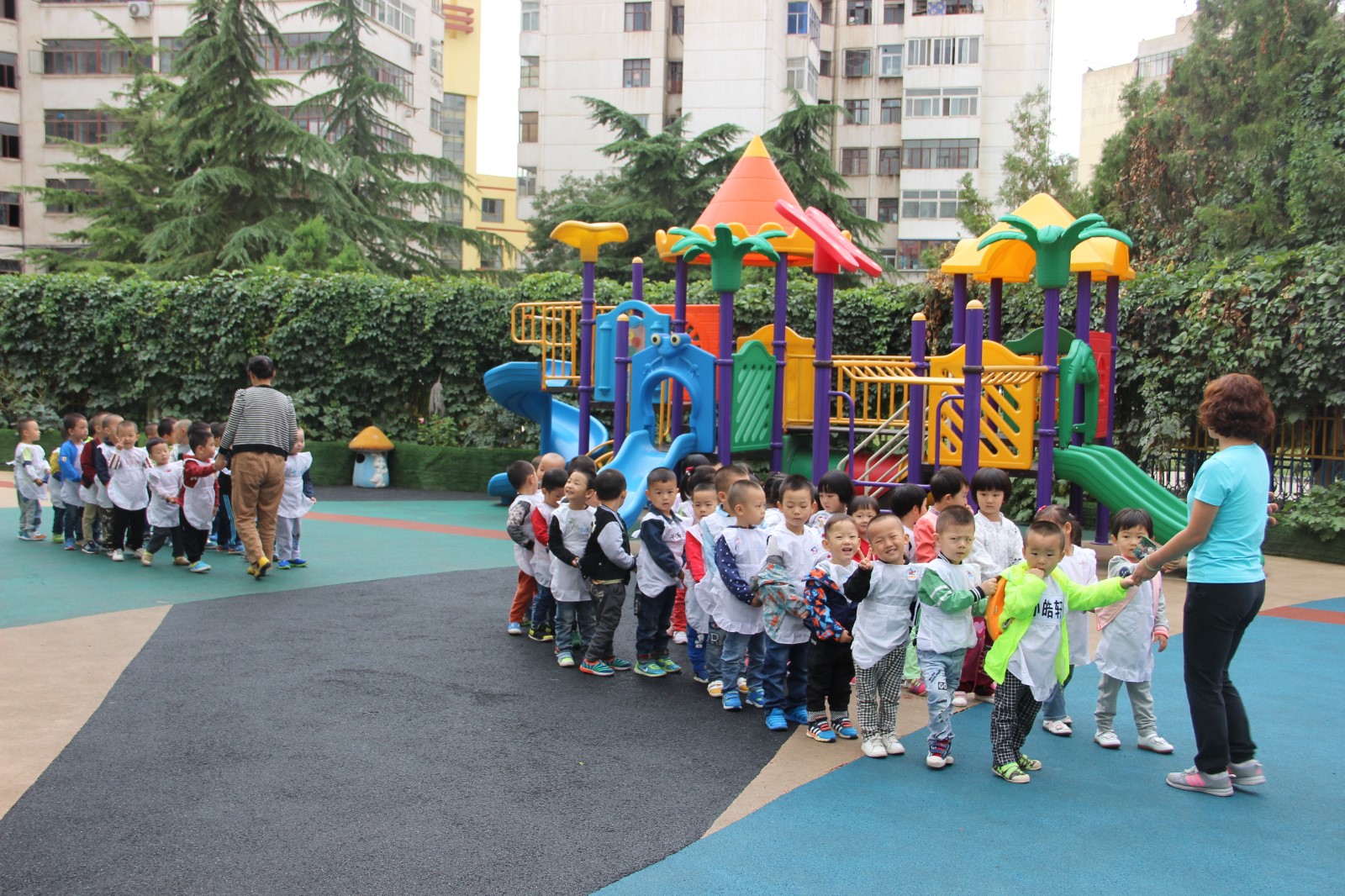 IMG_5010.JPG IMG_5010.JPG