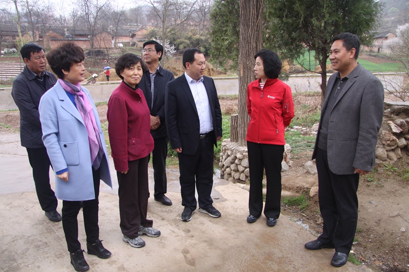 IMG_0100_副本3.jpg IMG_0100_副本3.jpg