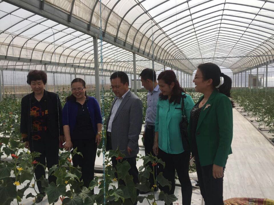 QQ图片20160518180834.jpg QQ图片20160518180834.jpg