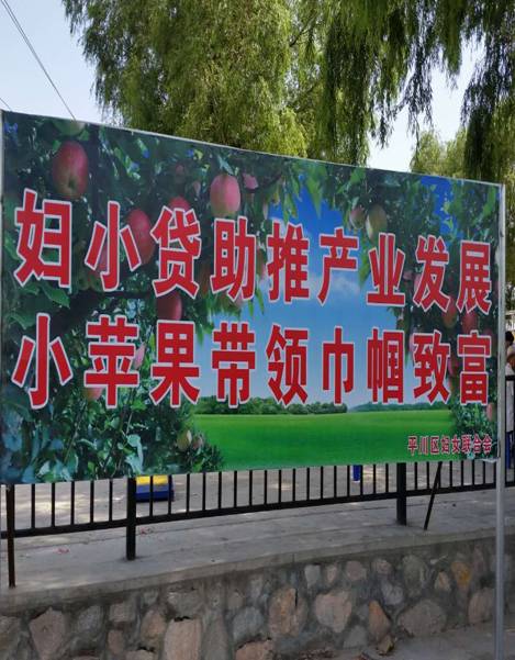 图片10.jpg 图片10.jpg