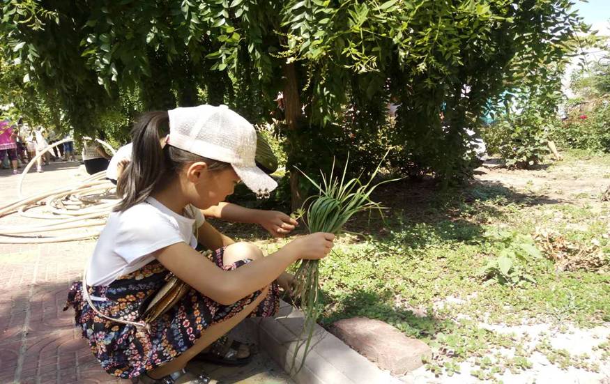 图片13.jpg 图片13.jpg