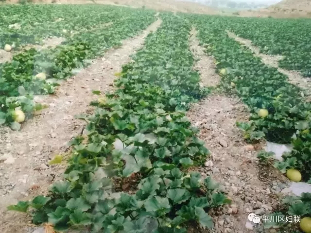 23.webp.jpg 23.webp.jpg