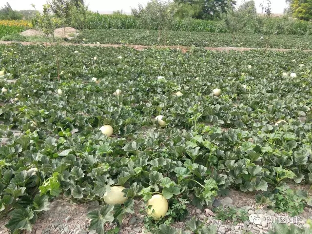 24.webp.jpg 24.webp.jpg