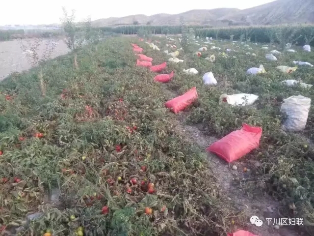 26.webp.jpg 26.webp.jpg