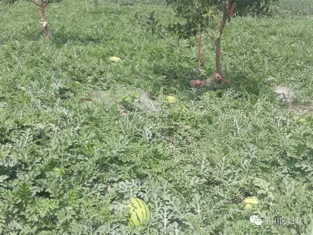 25.webp.jpg 25.webp.jpg