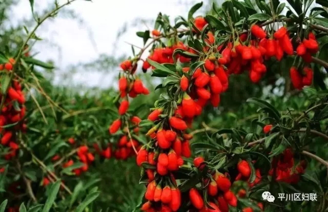 28.webp.jpg 28.webp.jpg