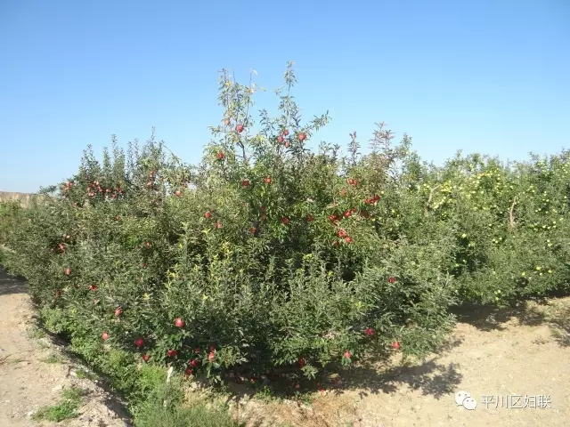 27.webp.jpg 27.webp.jpg