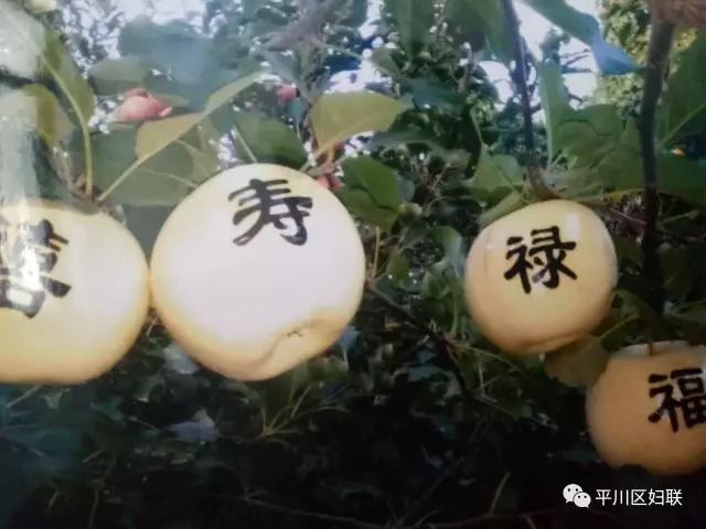 29.webp.jpg 29.webp.jpg