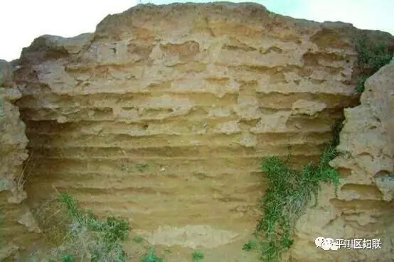 2.webp.jpg 2.webp.jpg