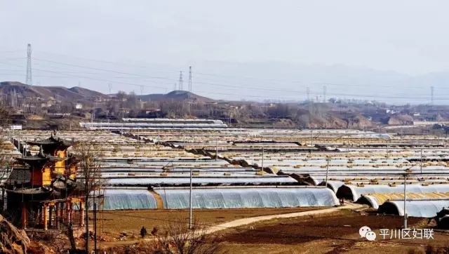 13.webp.jpg 13.webp.jpg