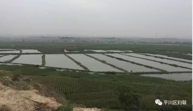 18.webp.jpg 18.webp.jpg