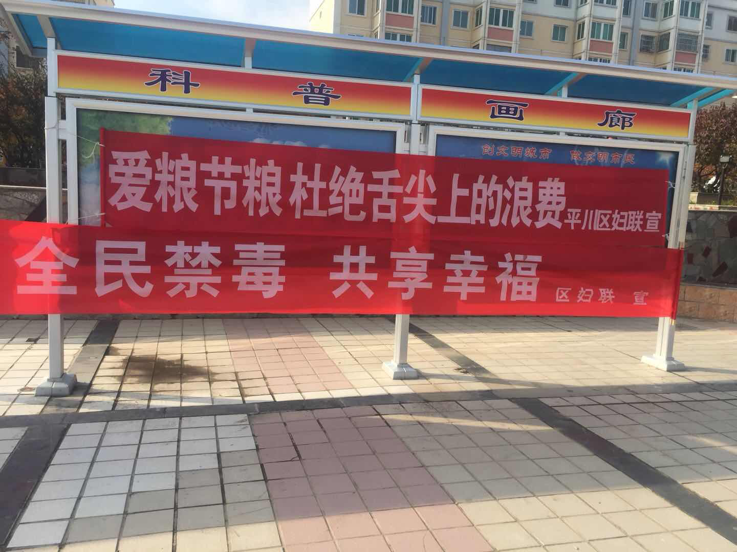 图片3.png 图片3.png