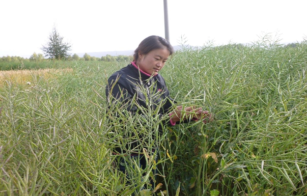 图片3.jpg 图片3.jpg