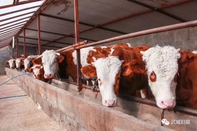 640.webp.jpg 640.webp.jpg