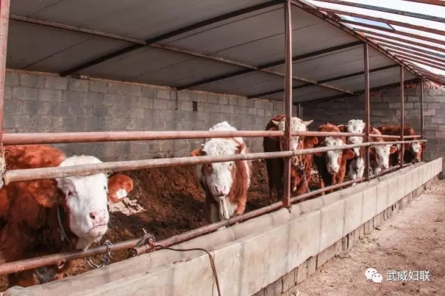 641.webp.jpg 641.webp.jpg