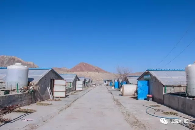 643.webp.jpg 643.webp.jpg