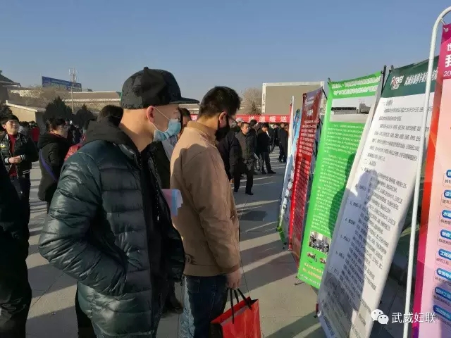 春风行动3.webp.jpg 春风行动3.webp.jpg