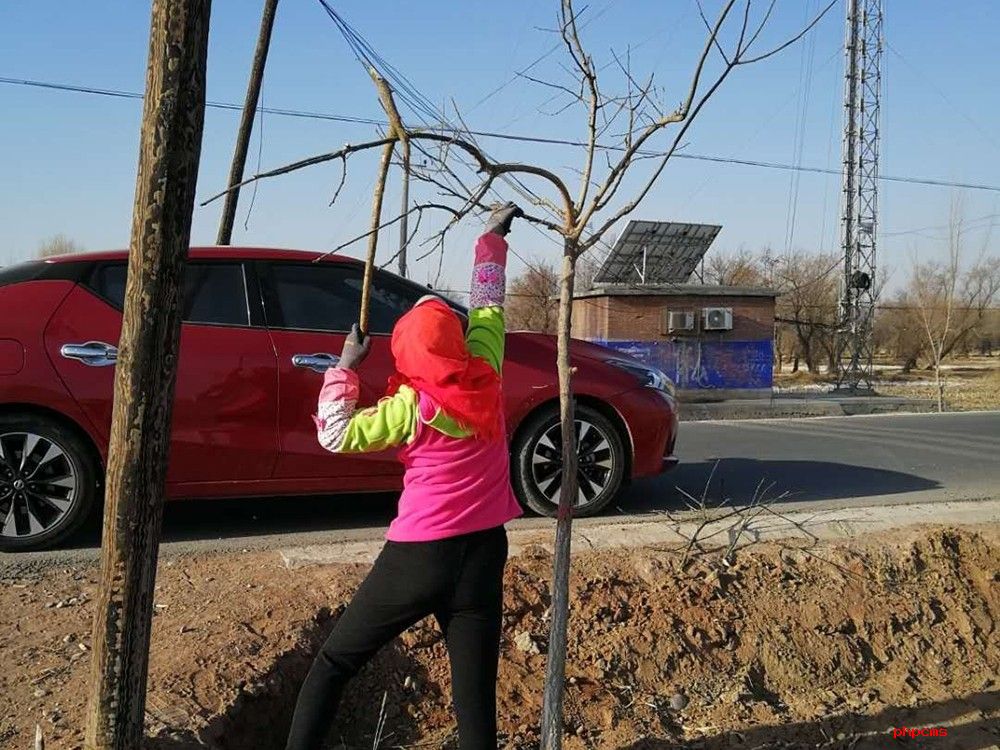 1583744368722895.jpg 1583744368722895.jpg