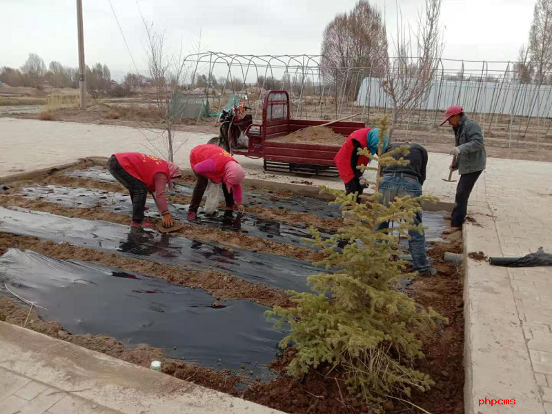 1620636976512490.png 图片20.png